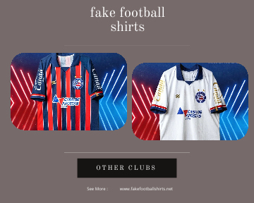 fake Bahia FC football shirts 23-24